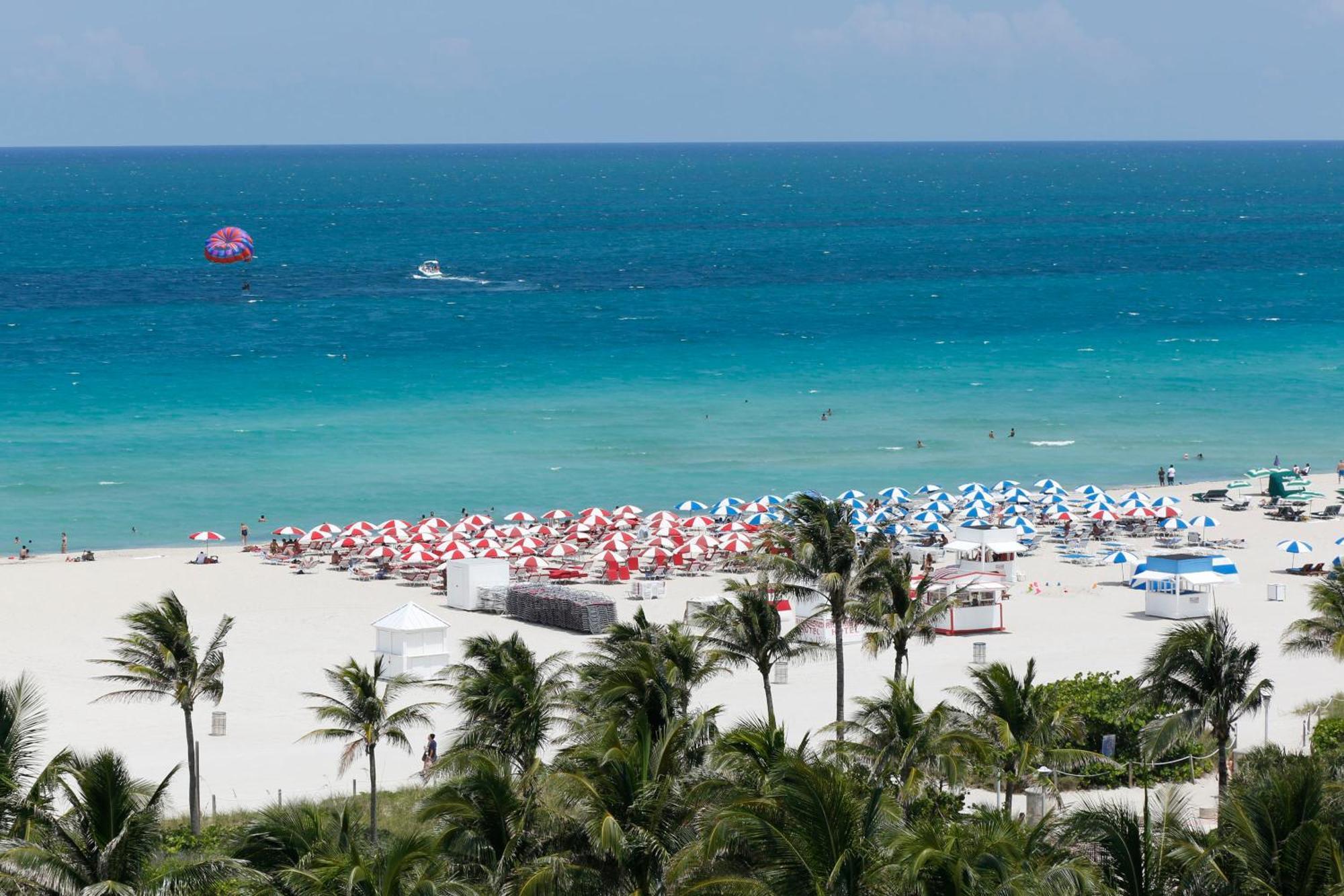 SHORE CLUB SOUTH BEACH MIAMI BEACH, FL